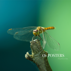 Nature color  no.1 / 0144 -  1